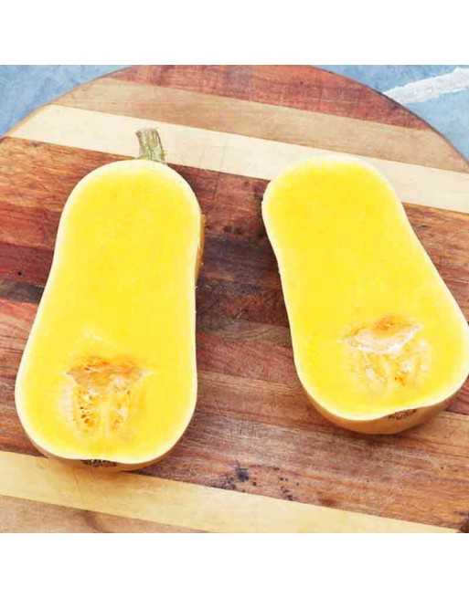 Winter Squash, Waltham Butternut Squash Seeds - [ Seed2Go.ca ] - [Seed Packets] - Squash - 