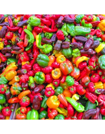 Mild To Hot Pepper Mix, Anaheim, Poblano, Santa Fe, Cayenne, Jalepeno, Serrano, Tabasco Pepper Seeds - [ Shop Canadian Seeds Onl
