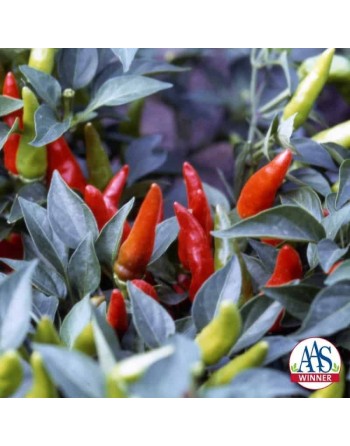 Super Chili Pepper, Mild Hot Pepper Seeds,  AAS Winner, Hybrid Seeds - [ Shop Canadian Seeds Online ]  - Pepper Seeds - 