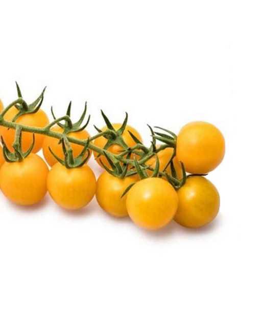 Esterina F1, Hybrid Cherry, Snacking Cherry Tomato Seeds - [ Seed2Go.ca ] - [Seed Packets] - Grape & Cherry Tomatoes - 