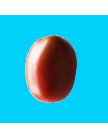 Black Plum Tomato, Organic, Tomato Seeds - [ Seed2Go.ca ] - [Seed Packets] - Tomato Seeds - 