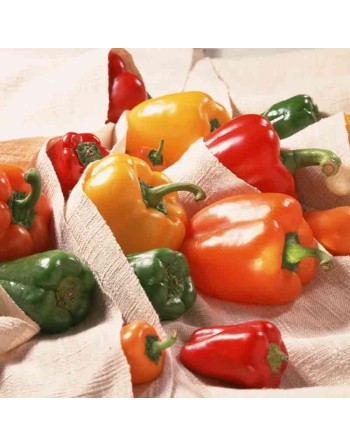 Mild To Hot Pepper Mix, Anaheim, Poblano, Santa Fe, Cayenne, Jalepeno, Serrano, Tabasco Pepper Seeds - [ Shop Canadian Seeds Onl