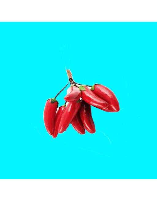 Mazzetti Rosso Etna Pepper, Italy, Italian Pepper Seeds - [ Seed2Go.ca ] - [Seed Packets] - All Peppers - 