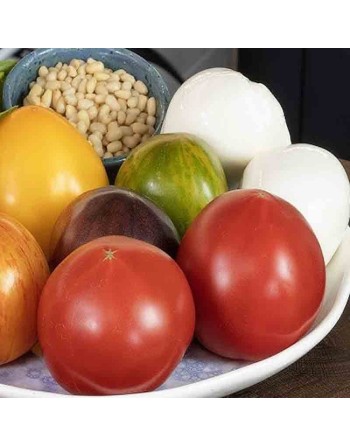 Gialo Piennolo del Vesuvio Paste Tomato, "Nonno's Tomato", Paste Tomato, Organic, San Marzano Alternative, Saucer, Italy - [ See