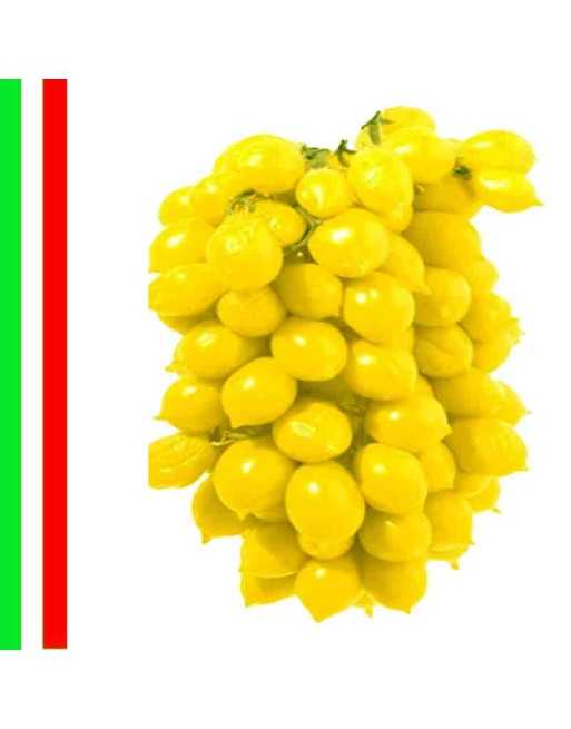 Gialo Piennolo del Vesuvio Paste Tomato, "Nonno's Tomato", Paste Tomato, Organic, San Marzano Alternative, Saucer, Italy - [ See