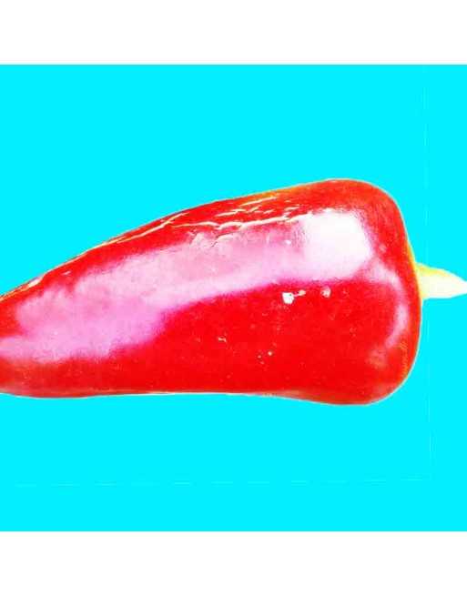 Diavolicchio Trottolino Amoroso Pepper, Italy, Hot Pepper Seeds - [ Shop Canadian Seeds Online ]  - Pepper Seeds - 