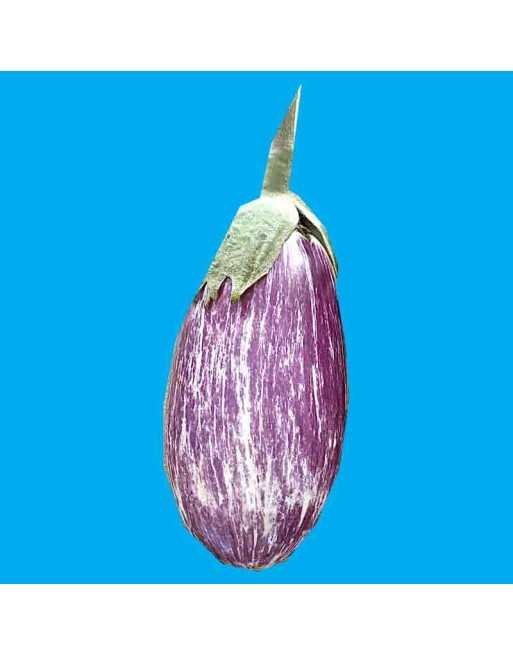 Listada de Gandia Eggplant, Italy Eggplant Seeds - [ Seed2Go.ca ] - [Seed Packets] - Eggplant - 