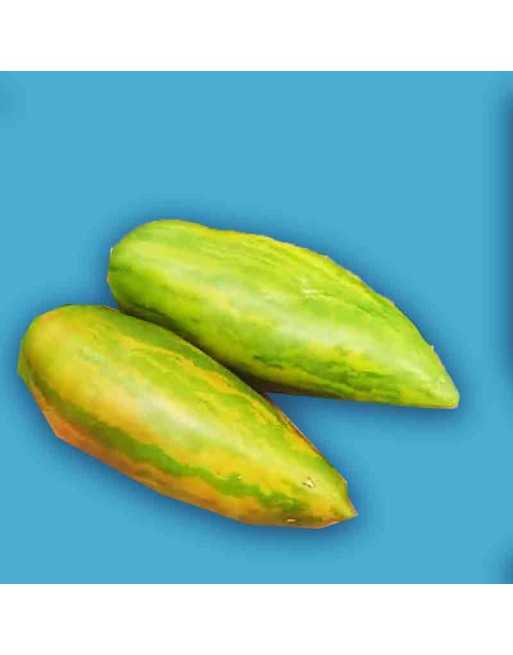 Green Sausage Tomato, Saucer & Salsa, Heirloom Tomato Seeds - [ Seed2Go.ca ] - [Seed Packets] - Tomato Seeds - 