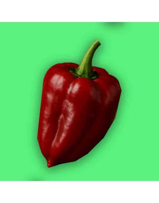 Dulce Italiano Sweet Pepper Seeds, Dulce Peperone Italiano - [ Seed2Go.ca ] - [Seed Packets] - Pepper Seeds - 