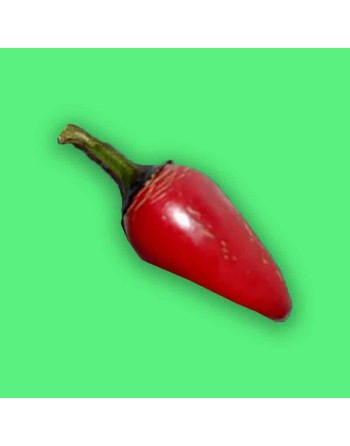Count Dracula Pepper, Ornamental Hot Pepper Seeds, Heirloom - [ Shop Canadian Seeds Online ]  - Pepper Seeds - 