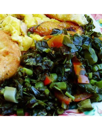 Organic Jamaican Callaloo Leaf Callaloo Amaranth, Jamaican Callaloo Seeds, Caribbean - [ Shop Canadian Seeds Online ]  - Amarant