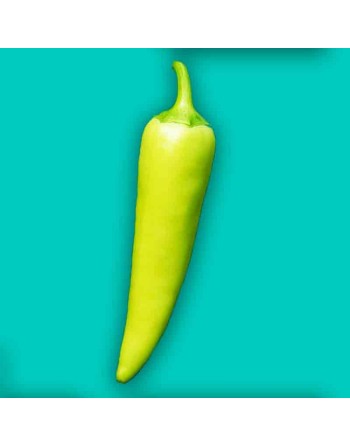 Sweet Banana Pepper, Sweet & Mild Hot Pepper, South America Pepper Seeds - [ Shop Canadian Seeds Online ]  - Pepper Seeds - 