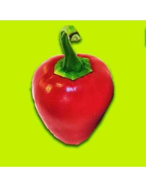 Round Pimento, Spanish, Sweet Pepper, Spain, Stuffing Pepper, Pepper Seeds - [ Shop Canadian Seeds Online ]  - Pepper Seeds - 