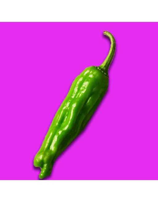 Shishito Oriental Japanese Sweet Pepper, Popular Japanese Frying Vegetable Pepper Seeds - [ Shop Canadian Seeds Online ]  - Pepp