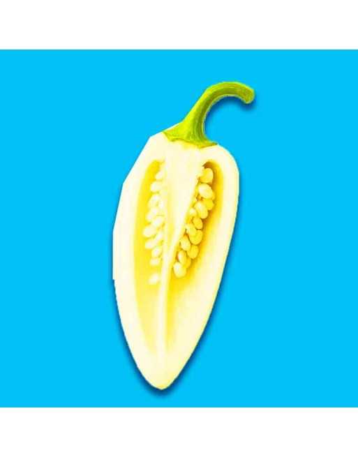 White Jalapeño, Mild Pepper, Origin Unknown,  Pepper Seeds - [ Seed2Go.ca ] - [Seed Packets] - Pepper Seeds - 