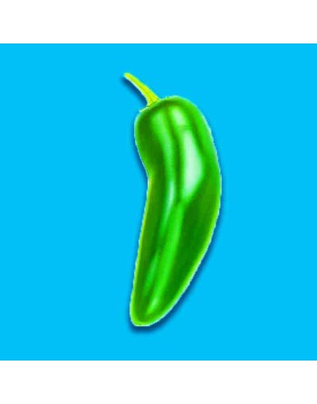 Green Jalapeño Hot Pepper Seeds, Green Chili - [ Shop Canadian Seeds Online ]  - Pepper Seeds - 