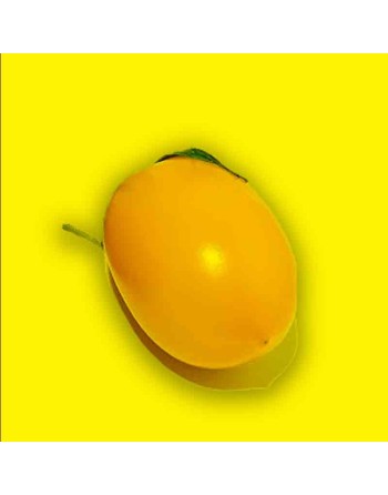 Yellow Roma Tomato, Tomato Seeds, Heirloom - [ Seed2Go.ca ] - [Seed Packets] - Tomato Seeds - 