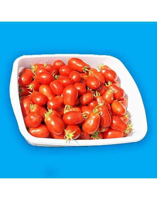 Roma VF Tomato Seeds, Italian Plum Tomatoes, Canning Tomatoes - [ Seed2Go.ca ] - [Seed Packets] - Tomato Seeds - 