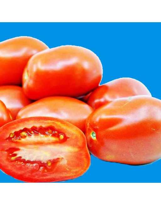 Supremo Roma, Bush Roma Tomato Seeds - [ Shop Canadian Seeds Online ]  - Tomato Seeds - 