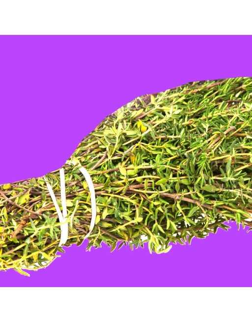 Traditional & Old Fashioned Thyme, Herb Seeds - [ Seed2Go.ca ] - [Seed Packets] - Herb Seeds - 