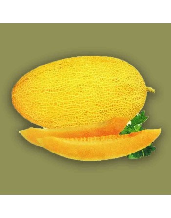 Hami Chinese Snow Melon,  哈密瓜, Hāmì guā, Melon Seeds - [ Shop Canadian Seeds Online ]  - Melon - 