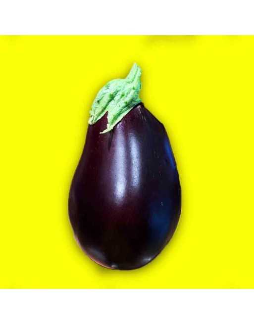 Purple Globe Eggplant Seeds - [ Seed2Go.ca ] - [Seed Packets] - Eggplant - 