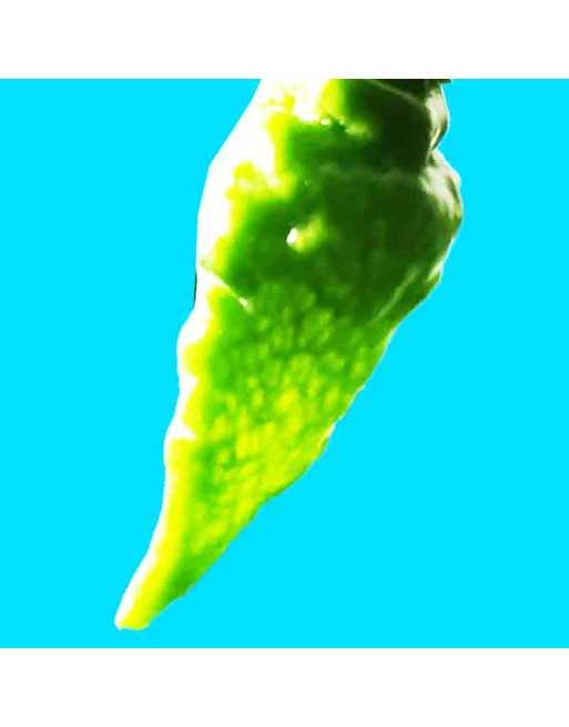 Fruity Vulcano Paprika Chili Habanero, Hot Pepper Seeds - [ Shop Canadian Seeds Online ]  - Pepper Seeds - 