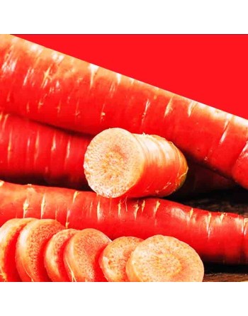 Japanese Carrot, Heirloom, Dark Red Carrot Seeds - [ Shop Canadian Seeds Online ]  - Carrot - 