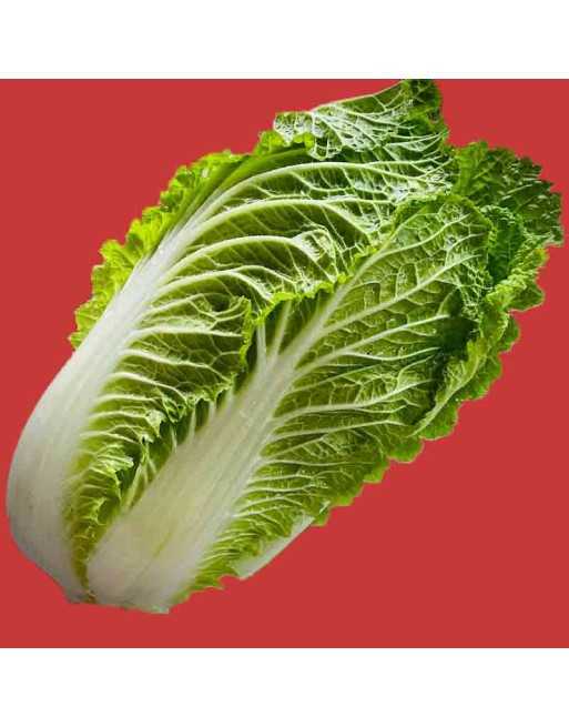 70 Chinese Cabbage, Napa, Michihili-type Cabbage, Cabbage Seeds - [ Seed2Go.ca ] - [Seed Packets] - Cabbage - 