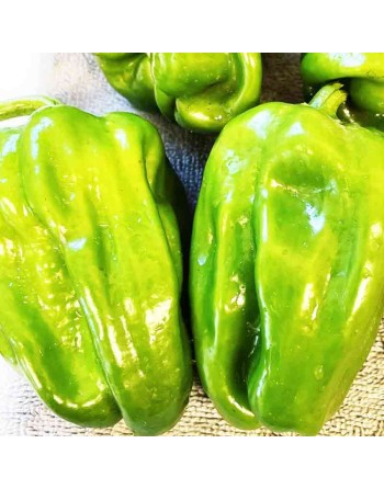 Shar-Pei Zou-Pi Wrinkled Pepper, Hot Pepper Seeds, Southern Chinese Pepper - [ Shop Canadian Seeds Online ]  - Pepper Seeds - 