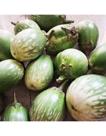 Thai Eggplant Seeds, Thai, Indian and Vietnamese Eggplant - [ Seed2Go.ca ] - [Seed Packets] - Eggplant - 