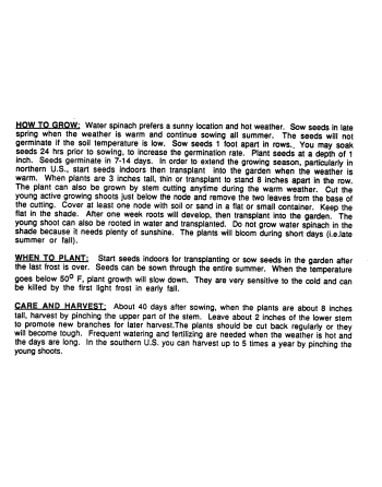 White Leaf Water Spinach, Ipomoea Aquatica, Water Spinach Seeds, 白通菜  Bái Tōngcài - [ Seed2Go.ca ] - [Seed Packets] - Spinach - 