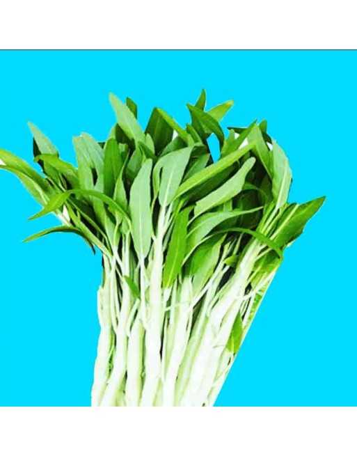 White Leaf Water Spinach, Ipomoea Aquatica, Water Spinach Seeds, 白通菜  Bái Tōngcài - [ Seed2Go.ca ] - [Seed Packets] - Spinach - 