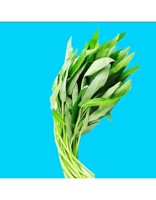 Pad Pak Boong ผัดผักบุ้งThailand Water Spinach, Green Stem, Morning Glory, Chinese Water Spinach Seeds - [ Shop Canadian Seeds O