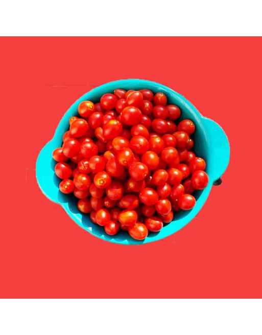 Pomodoro Principe Borghese, Organic, Heirloom Tomato Seeds, Tusany, Italy - [ Shop Canadian Seeds Online ]  - Tomato Seeds - 