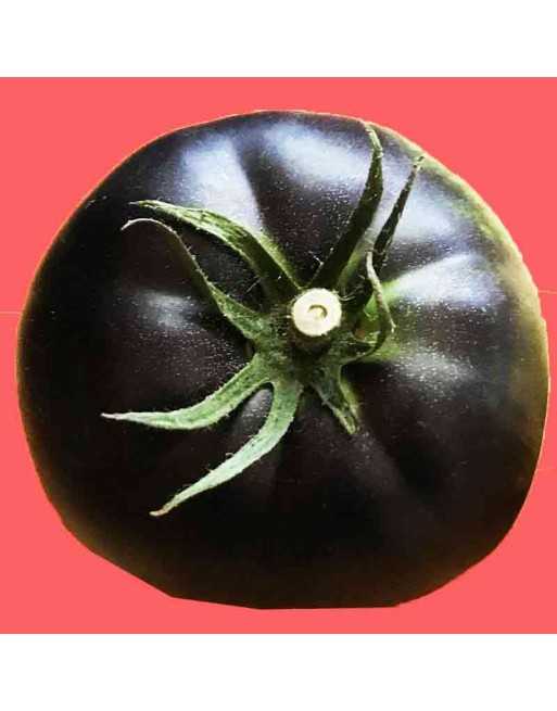 Black Beauty Tomato, Slicing Tomato, Hybrid Boar and Pink Berkeley - [ Shop Canadian Seeds Online ]  - Tomato Seeds - 