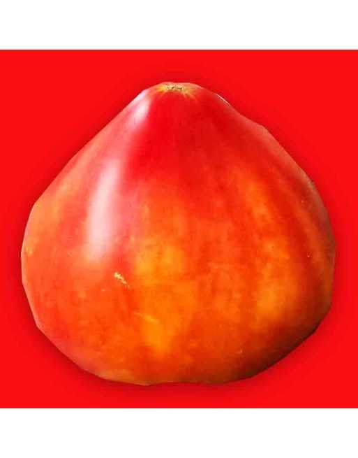 Grightmire's Pride Tomato Seeds, Oxheart, Heirloom, Indeterminate, Yugoslavian, Крупноплодный сорт сердечных томатов - [ Seed2Go