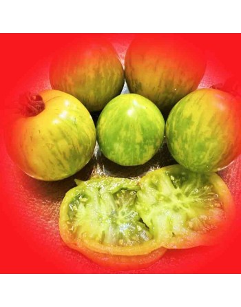 Green Zebra Tomato Seeds, Globe, Organic - [ Shop Canadian Seeds Online ]  - Tomato Seeds - 
