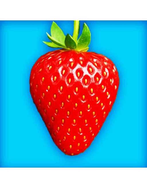 Strawberry Seeds, Fresca - [ Seed2Go.ca ] - [Seed Packets] - Strawberry - 