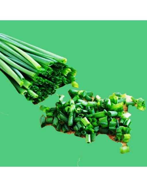 Traditional Onion Chives, Hardy Perennial Herb, Onion Chive Seeds - [ Seed2Go.ca ] - [Seed Packets] - Herb Seeds - 