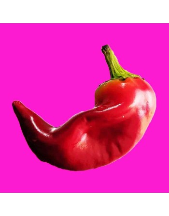 Fresno Pepper, Fruity, Spicy, Tropical North America  Pepper Seeds - [ Shop Canadian Seeds Online ]  - Pepper Seeds - 