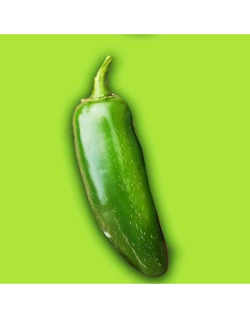 Goliath Compadre Jalapeño, Mucho Nacho, Hot Pepper, 3", Cold Tolerant  Pepper Seeds - [ Shop Canadian Seeds Online ]  - Pepper S
