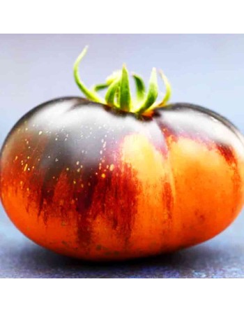 Lucid Gem Beefsteak Tomato, Slicer, Mid-Season, Tomato Seeds - [ Seed2Go.ca ] - [Seed Packets] - Tomato Seeds - 