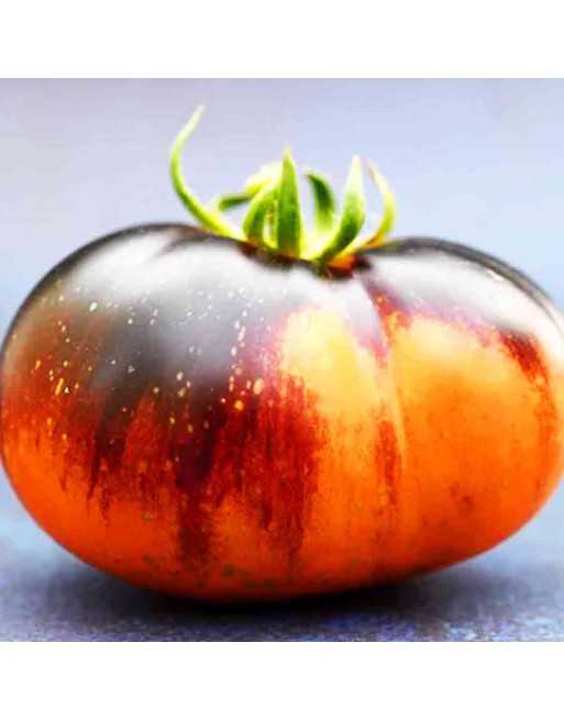 Lucid Gem Beefsteak Tomato, Slicer, Mid-Season, Tomato Seeds - [ Seed2Go.ca ] - [Seed Packets] - Tomato Seeds - 