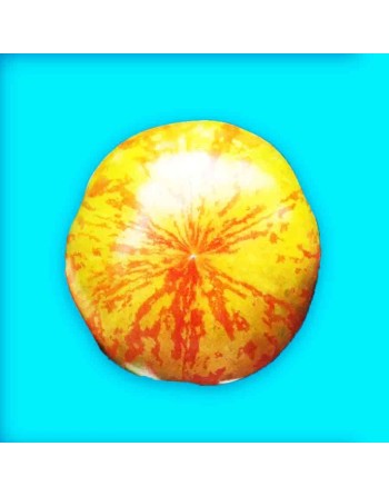 Red Zebra Tomato Seeds, North American Hybrid - [ Shop Canadian Seeds Online ]  - Tomato Seeds - 