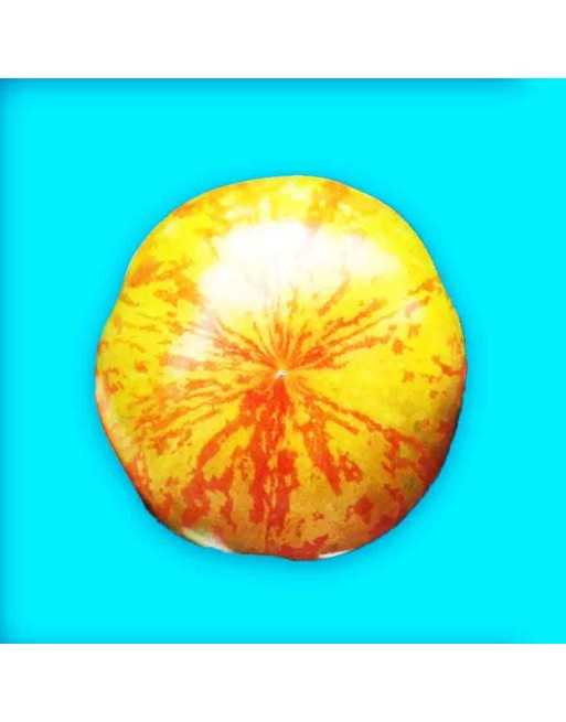 Red Zebra Tomato Seeds, North American Hybrid - [ Shop Canadian Seeds Online ]  - Tomato Seeds - 