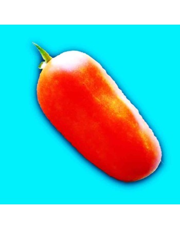 Oroma Paste Tomato, Heirloom, Saucing Tomato Seeds - [ Seed2Go.ca ] - [Seed Packets] - Tomato Seeds - 