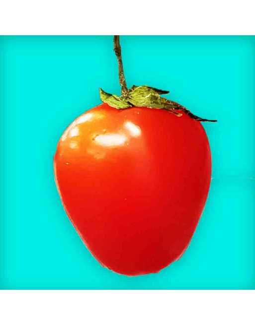 Strawberry Sweet Cherry Tomato Seeds, Red Cherry Tomato, German - [ Seed2Go.ca ] - [Seed Packets] - Grape & Cherry Tomatoes - 