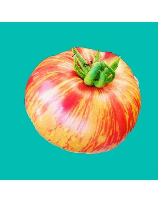 Tigerella Cherry Tomato Seeds, Tiger Cherry, English, Heirloom - [ Shop Canadian Seeds Online ]  - Grape & Cherry Tomatoes - 