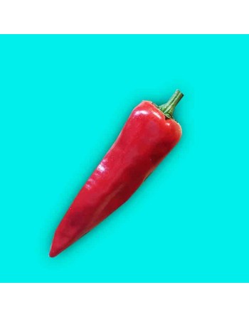 Basque Espelette Pepper, Chimayo Type, France and Latin Origins Pepper Seeds